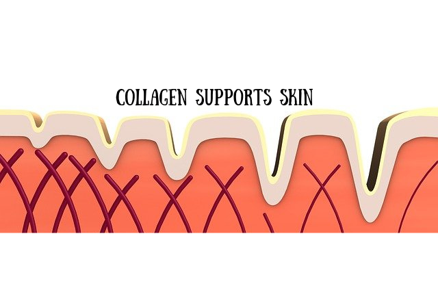 Fitness Fans Guide to Collagen