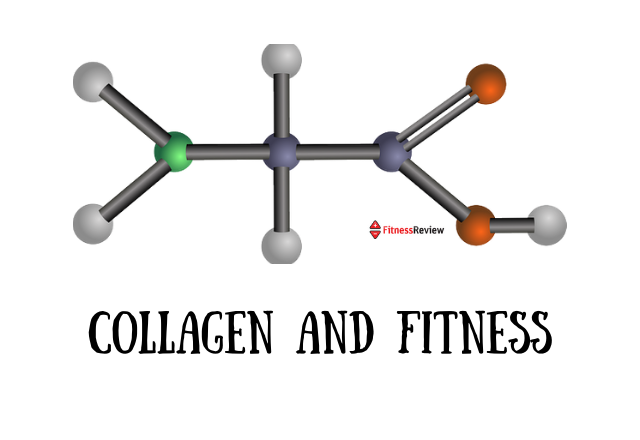 Collagen and Fitness Guide