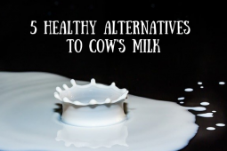 Healthy Alternatives to Cow's Milk