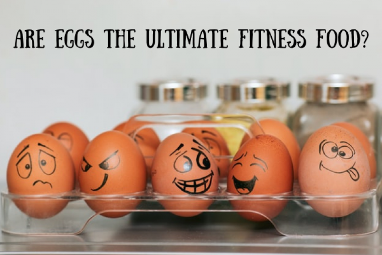 Eggs Fitness Fitness Review