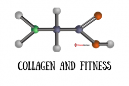 Collagen and Fitness Guide