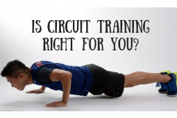Circuit Training Guide