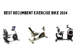 best recumbent exercise bike for home use 2024