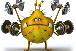 Germs in the Gym