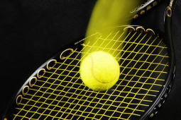Popular Racket Sports - Tennis